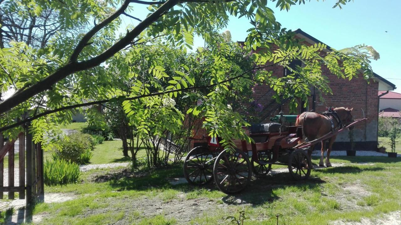 Swieze Poddasze U Przybyszow Andruszkowice Экстерьер фото